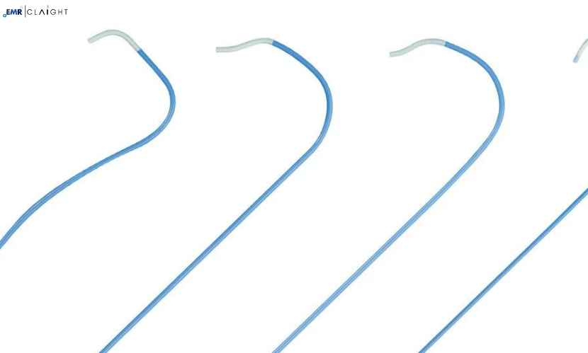 India Disposable Catheters Market